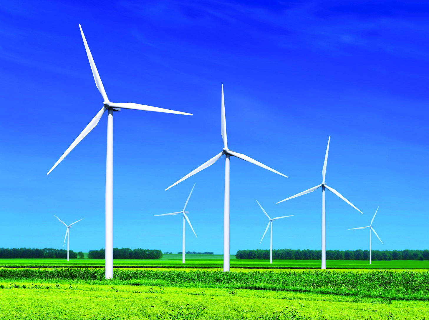Drive Wise Innovations and the Future of Wind Energy Investment