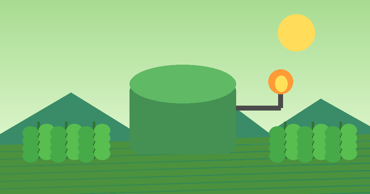Future Outlook: what makes biomass sustainable or unsustainable for Businesses and Communities